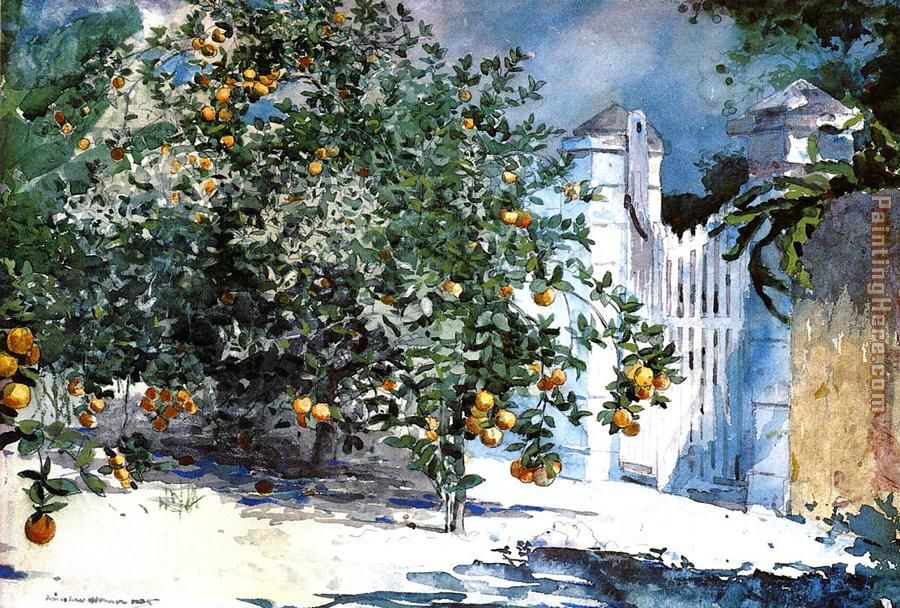 Winslow Homer Orange Tree Nassau
